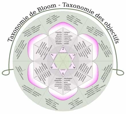 Taxonomie