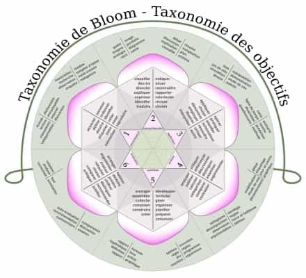 Taxonomie