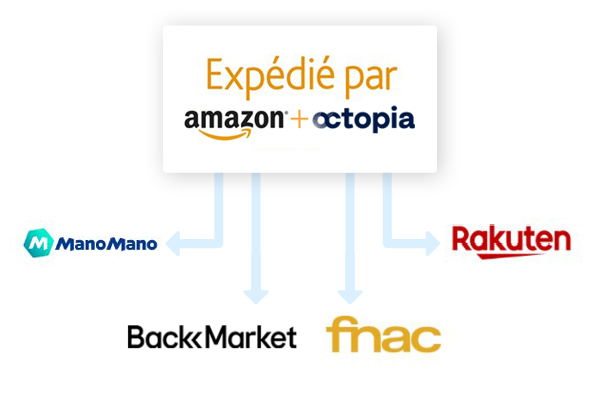 Expédié par Amazon ou Octopia en multichannel