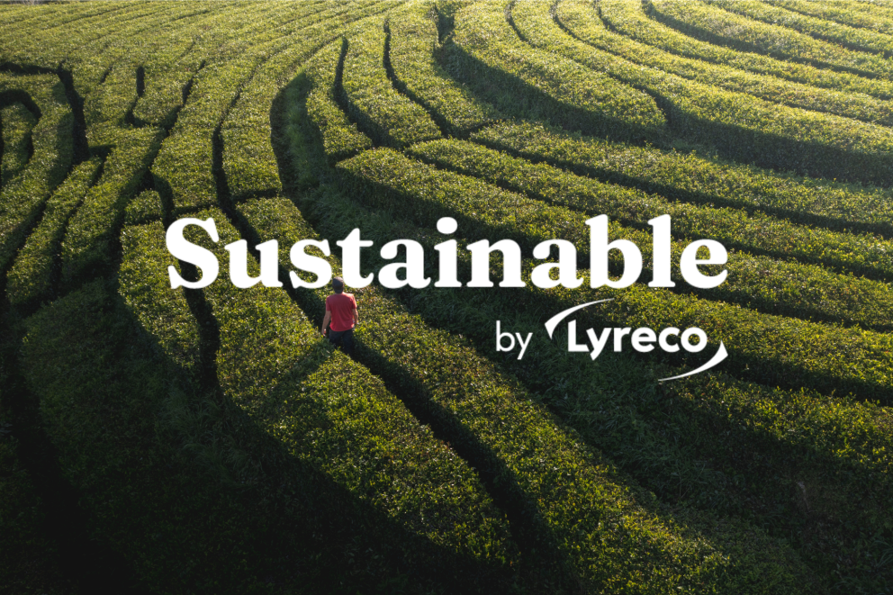 Lire la suite à propos de l’article Nouvelle marketplace : Sustainable by Lyreco